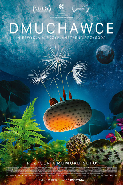 Plakat wydarzenia:  DKF Klaps - Dmuchawce 